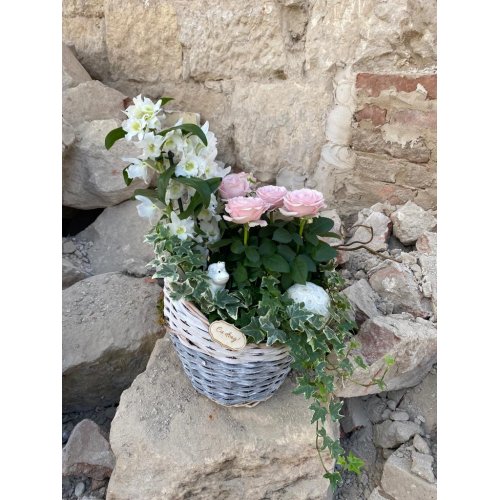 Aranjament cu plantele Dendrobium, Rosa, Hedera si accesorii Aranjament cu plantele Dendrobium, Rosa, Hedera si accesorii