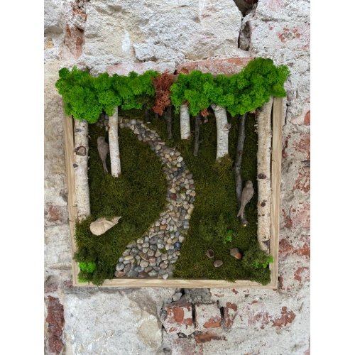 Tablou cu Licheni stabilizati Walkway Tablou cu Licheni stabilizati Walkway