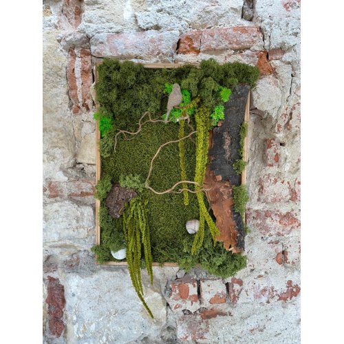 Tablou cu Licheni stabilizati Tablou cu Licheni stabilizati