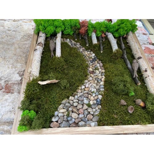 Tablou cu Licheni stabilizati Walkway Tablou cu Licheni stabilizati Walkway