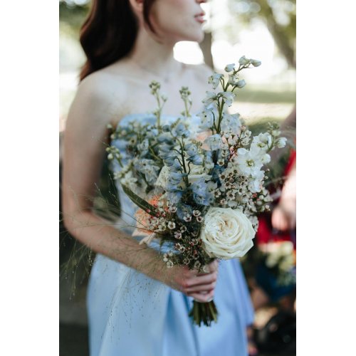 Vis de vara Vis de vara