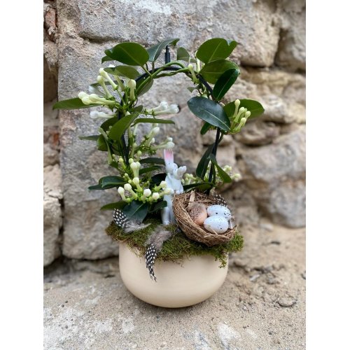 Aranjament cu planta Stephanotis si accesorii de pasti Aranjament cu planta Stephanotis si accesorii de pasti