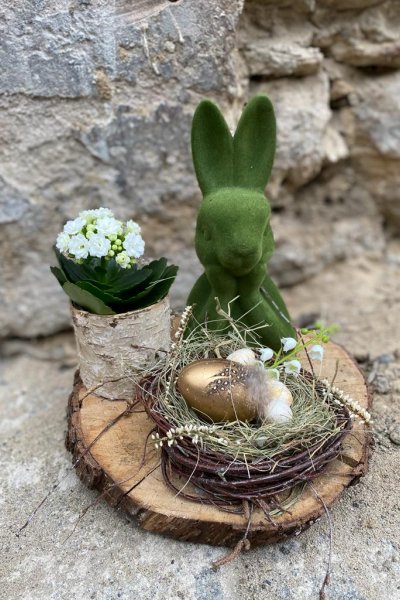Aranjament de masa cu iepuras si Kalanchoe pe suport de lemn Diametru 25 cm
