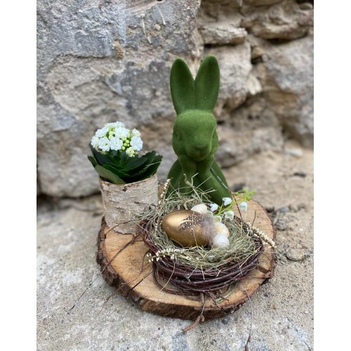Aranjament de masa cu iepuras si Kalanchoe pe suport de lemn Diametru 25 cm Aranjament de masa cu iepuras si Kalanchoe pe suport de lemn Diametru 25 cm