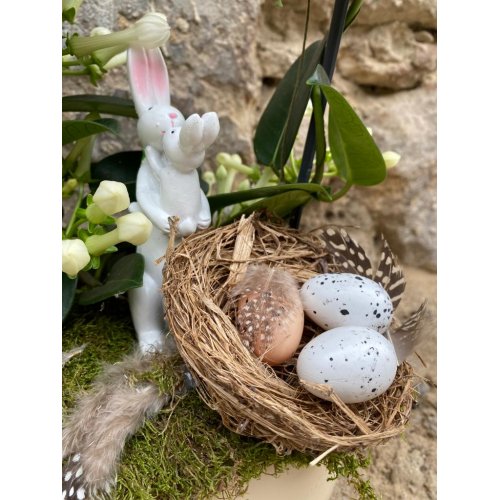 Aranjament  cu planta Stephanotis si accesorii de pasti Aranjament  cu planta Stephanotis si accesorii de pasti