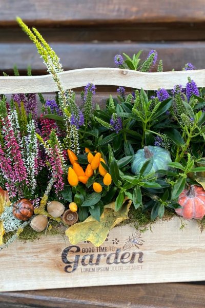 Aranjament cu plante de toamna si accesorii Lungime 40 cm