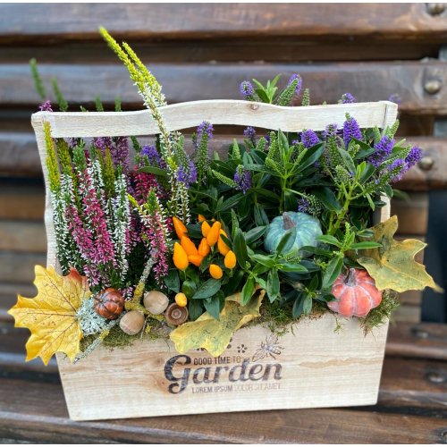 Aranjament cu plante de toamna si accesorii Lungime 40 cm Aranjament cu plante de toamna si accesorii Lungime 40 cm