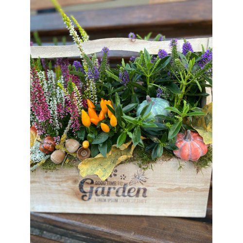 Aranjament cu plante de toamna si accesorii Lungime 40 cm