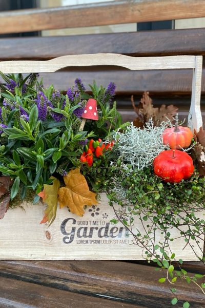 Aranjament cu plante de toamna si decoratiuni 