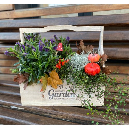 Aranjament cu plante de toamna si decoratiuni Aranjament cu plante de toamna si decoratiuni