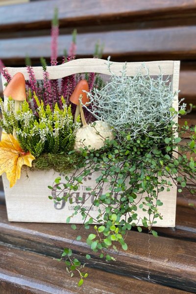 Aranjament cu plante de toamna si decoratiuni Lungime 30 cm 