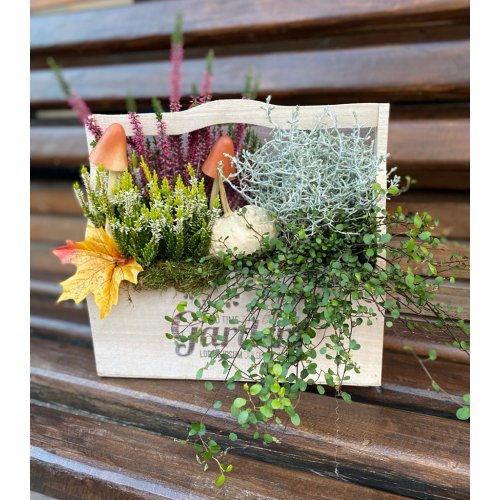 Aranjament cu plante de toamna si decoratiuni Lungime 30 cm Aranjament cu plante de toamna si decoratiuni Lungime 30 cm