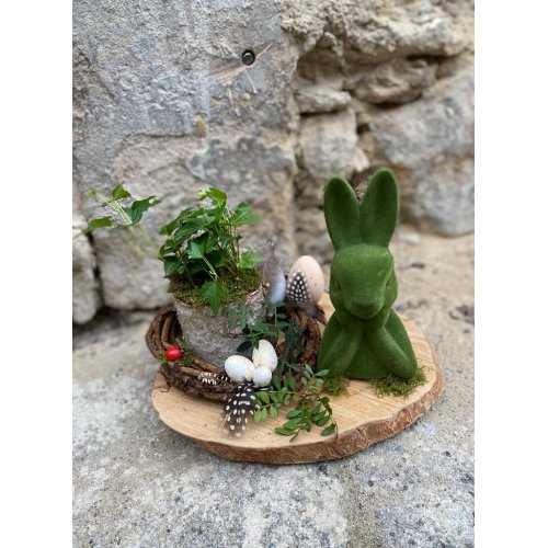 Aranjament de pasti pe suport de lemn care include si o Hedera la ghiveci Aranjament de pasti pe suport de lemn care include si o Hedera la ghiveci