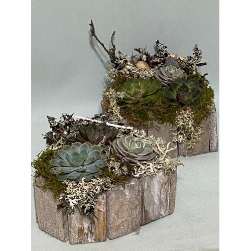 Aranjament cu plante suculente in vas din lemn in forma de inima
