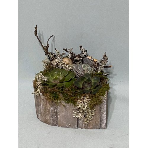 Aranjament cu plante suculente in vas din lemn in forma de inima Aranjament cu plante suculente in vas din lemn in forma de inima