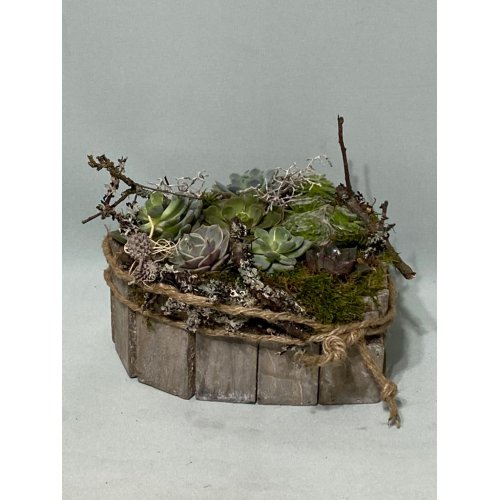 Aranjament cu plante suculente in vas de lemn in gorma de inima Aranjament cu plante suculente in vas de lemn in gorma de inima