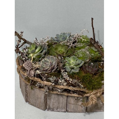 Aranjament cu plante suculente in vas de lemn in gorma de inima