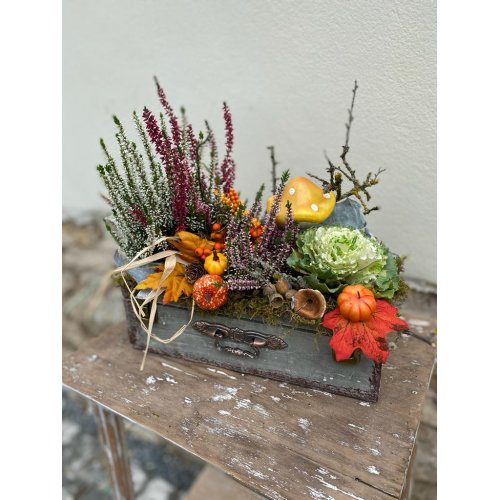 Aranjament cu plante de sezon Calluna, Brassica si accesorii de toamna Aranjament cu plante de sezon Calluna, Brassica si accesorii de toamna