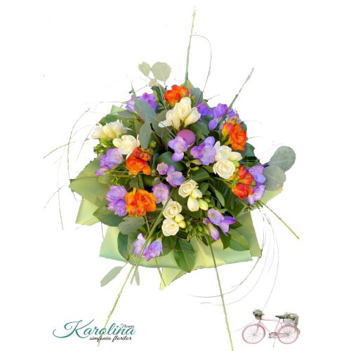 Buchet cu 21 Frezii colorate Buchet cu 21 Frezii colorate